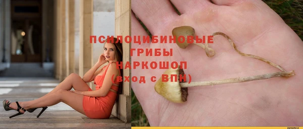 прущий лед Верея
