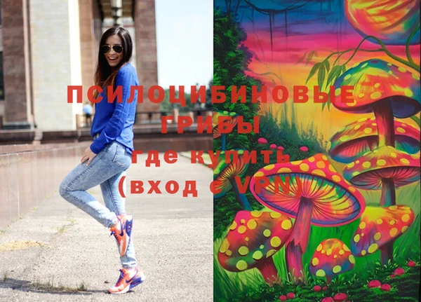 герыч Верхний Тагил
