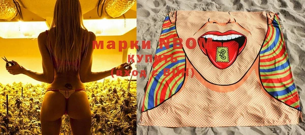 прущий лед Верея